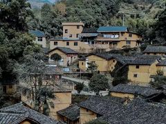 -杨家堂村
