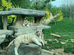 -北京野生动物园