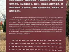 -盐城丹顶鹤湿地生态旅游区