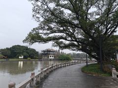 -江心屿景区