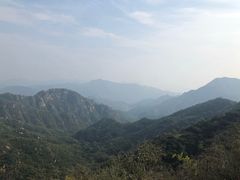 -大岭沟猕猴桃谷风景区