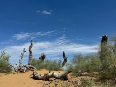 -亿利库布其七星湖沙漠生态旅游区
