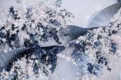 -曼格纳婚礼艺术中心(张江店)