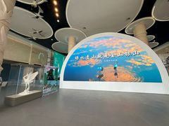 -盐城丹顶鹤湿地生态旅游区