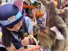 -正佳雨林生态植物园