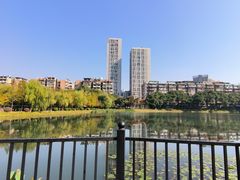 -宝岛公园