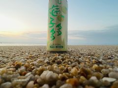 -玫瑰海岸文化旅游度假区