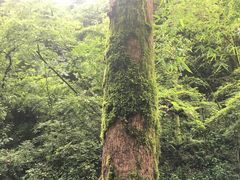 -梦姑塘文化公园