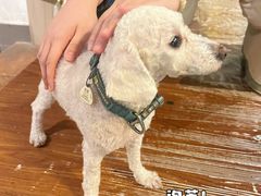 -默迹咖啡馆
