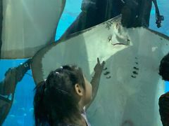 -福州罗源湾海洋世界旅游区