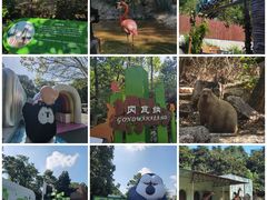 -红山森林动物园