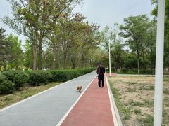 -绿堤公园
