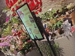 -豆豆花艺(新光天地店)