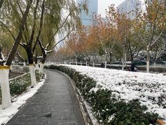 -天鹅湖体育公园