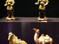-青岛市博物馆
