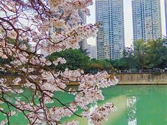 -红星桥(地铁站)