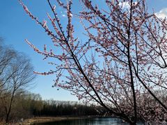 -大兴滨河森林公园