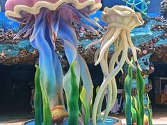-海花岛旅游度假区