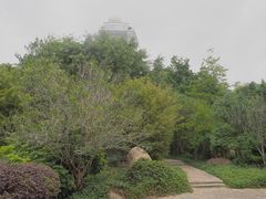 -深圳国际园林花卉博览园