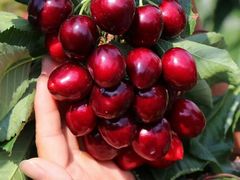 -陆家嘴金融服务广场