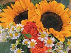 -北边的花店(泛悦城市广场店)