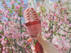 麦格拉斯草莓口味冰淇淋-全家便利店(武定店)