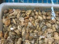 -和源祥·日照菜扛把子(万平口一店)