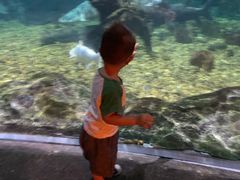 -暹罗海洋世界