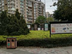 -神仙树公园