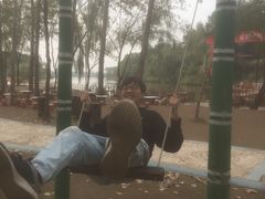 -东方巨龟苑景区