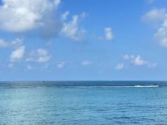 -西涌国际滨海旅游区