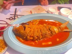 -阿五黄河大鲤鱼(英协路店)