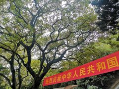 -菊花台公园