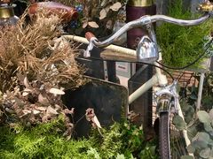 -大树餐厅(红旗街万达店)