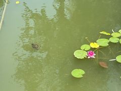 -檀园