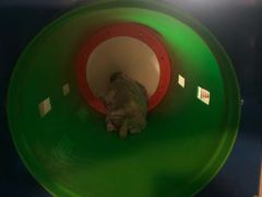 -龙达温泉生态城