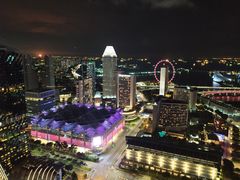 -新加坡瑞士史丹福酒店