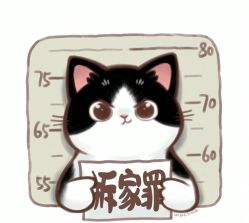 -小梨·OndaPro·专业脱毛连锁机构