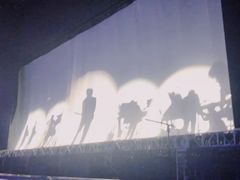 -华润深圳湾体育中心-“春茧” 体育馆