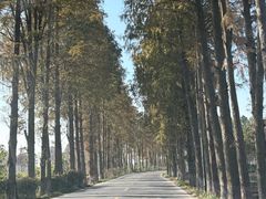 -南北湖风景区