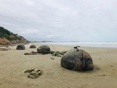 -摩拉基大圆石