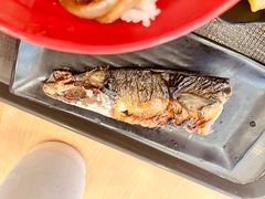 盐烤青花鱼-食其家·牛丼咖喱(金桥国际店)