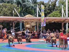 -上海玛雅海滩水公园