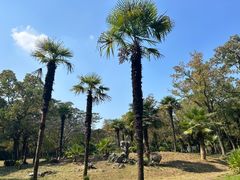 -杭州植物园