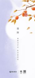 -YESIDO椰岛美容