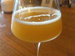 -雪梨精酿 Sydney Coast Brewing(沁春家园店)