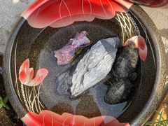 -二姐卤煮(南十里居店)