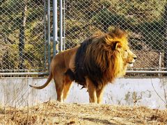 -石家庄市动物园