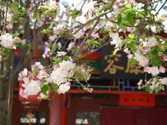-隆兴寺
