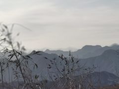 -定都峰